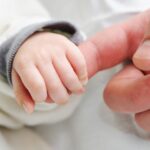 Ohio Child Support Calculator - FREE
